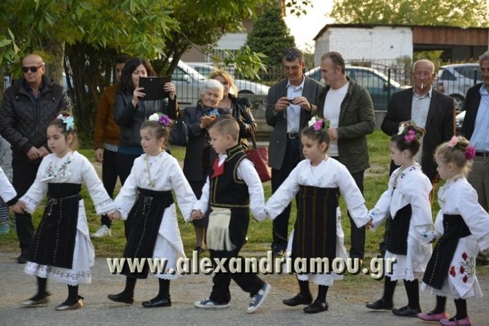 alexandriamou_KAMPOXORI_XOREYTIKA_AG. GEORGIOS17034